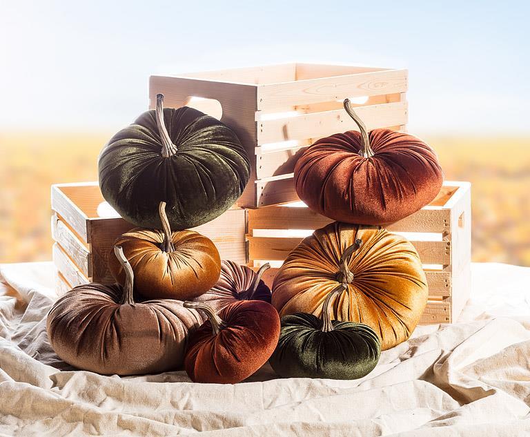 Large Velvet Pumpkin 10"