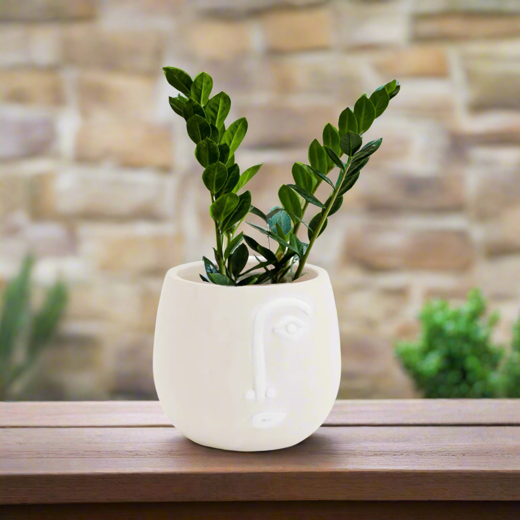 Cement Line Art Face Planter