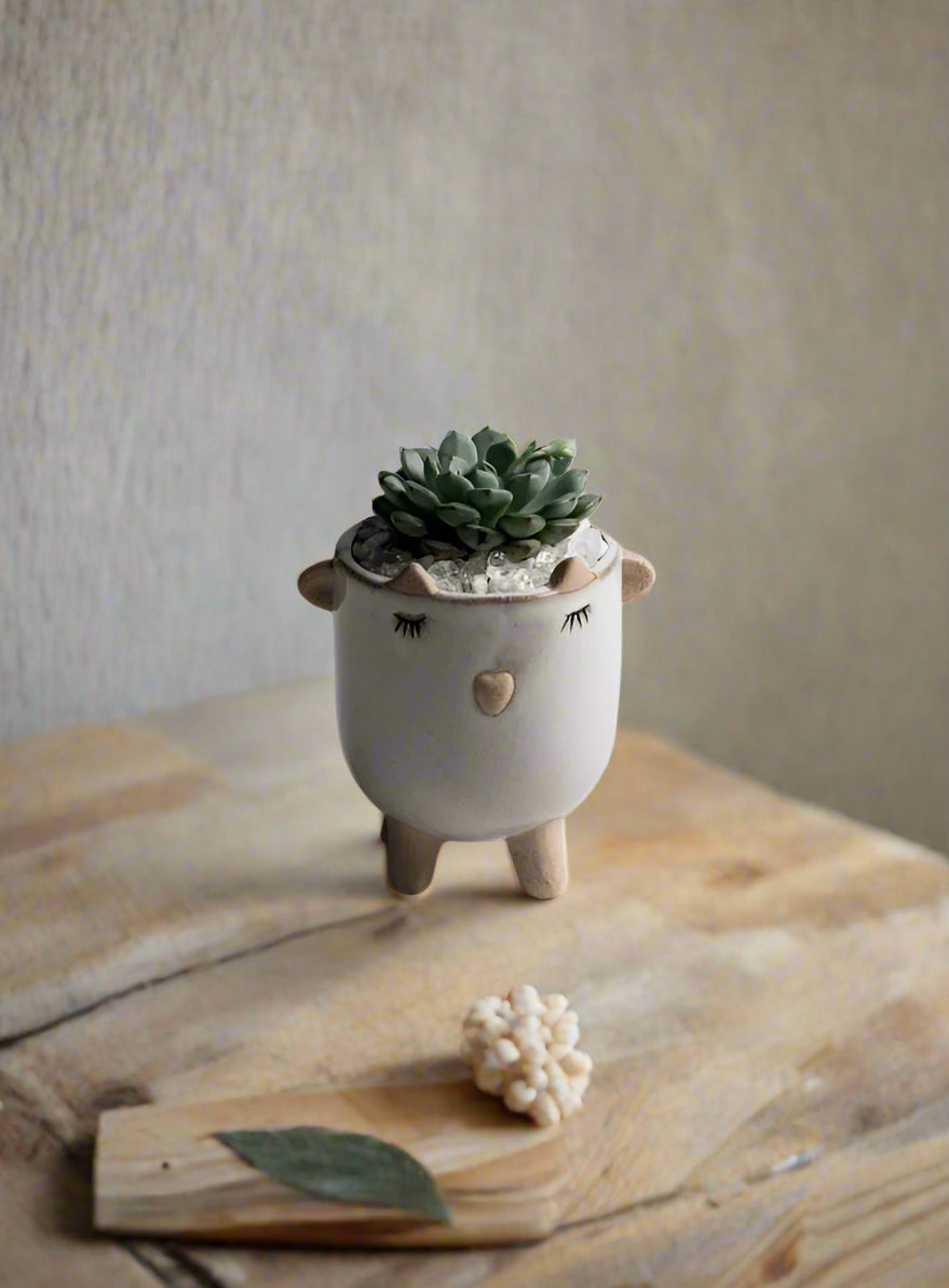 Lavender Little Lamb Pot