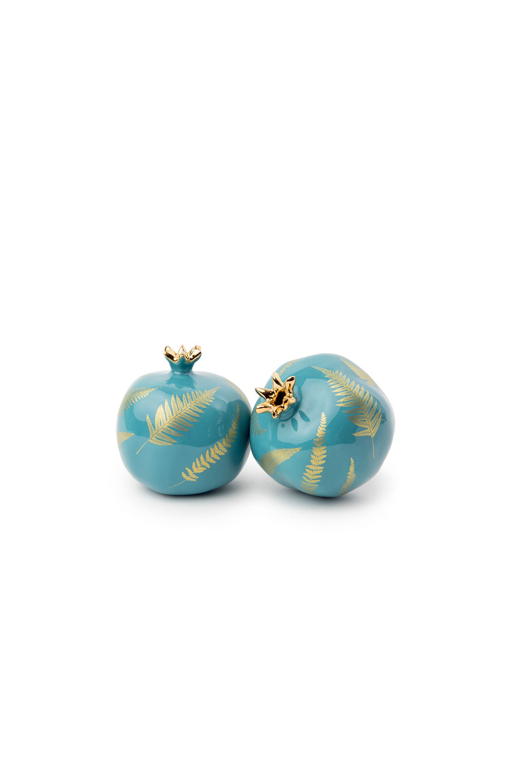 Leaves Pomegranates