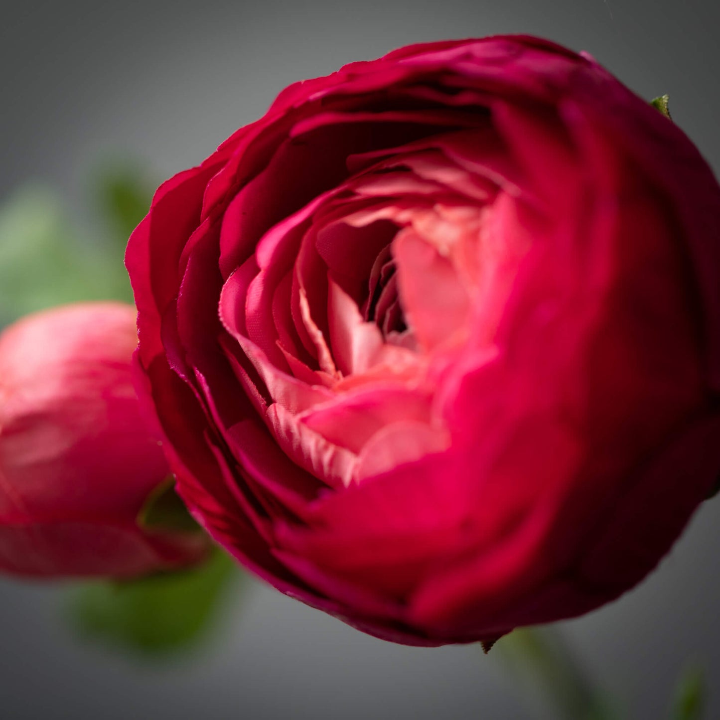 Artificial Pink Ranunculus Stem