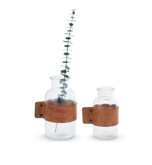Bloom and Collect Jars Set of 2