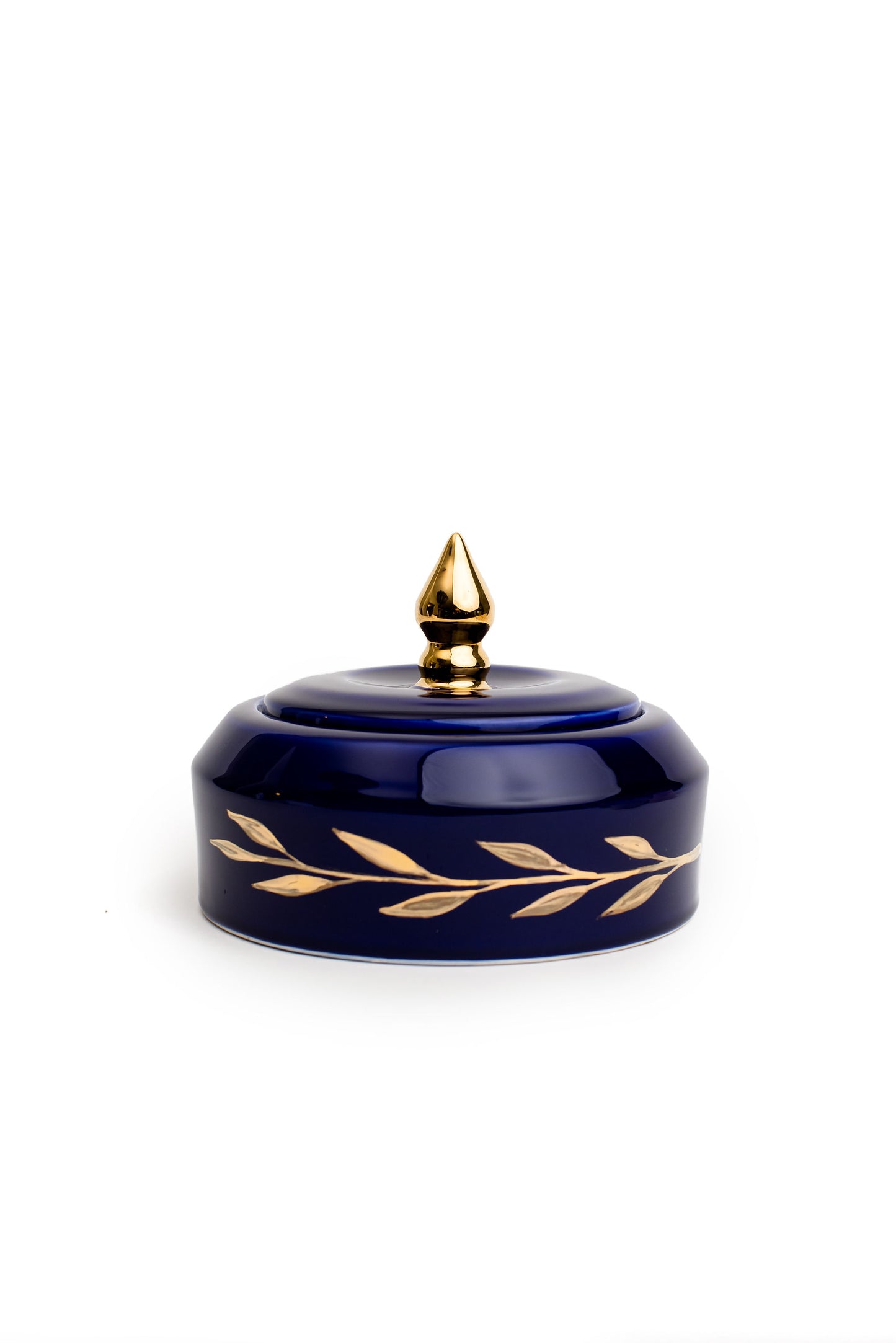 Navy And Gold Canister With Leaf Drawings