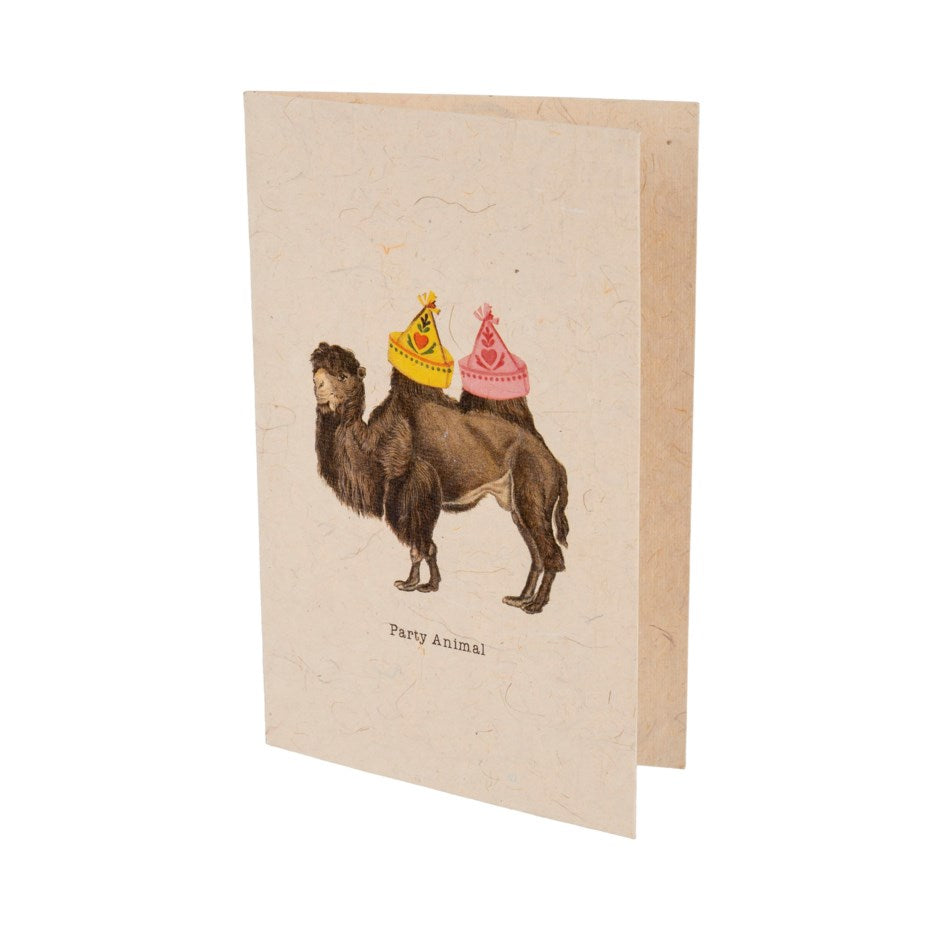 Party Animal Card With Envelope